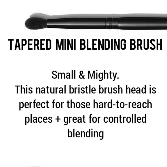 Morphe 4pc Essential Eye Makeup Brush Set - Picture 6 of 7